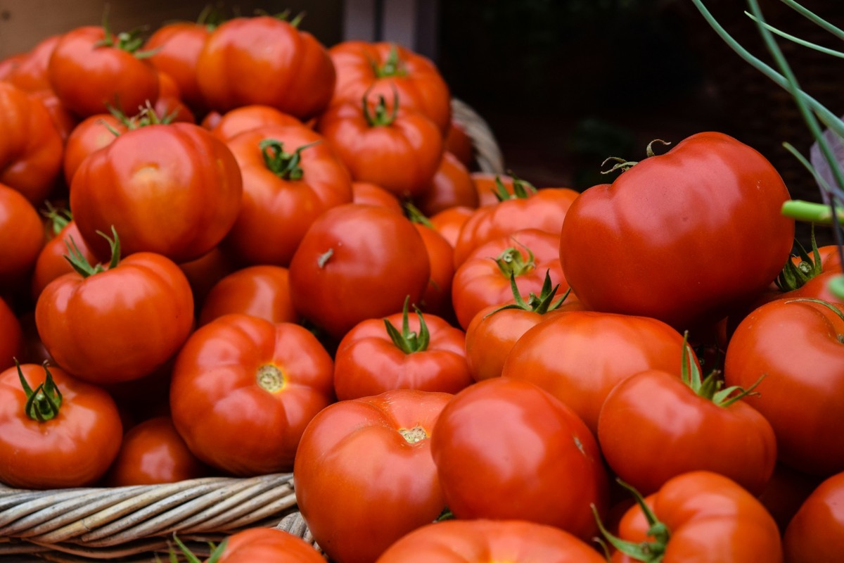 Tomato paste general image